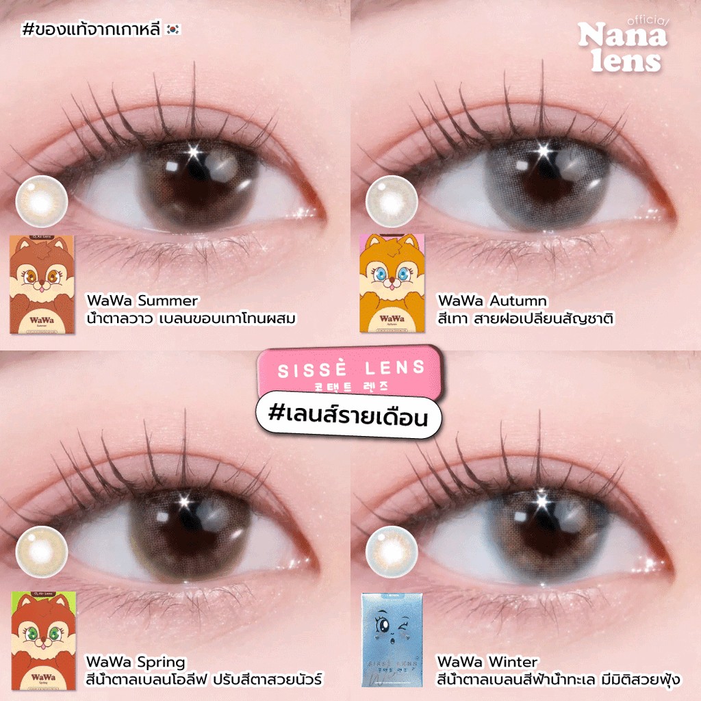 Sisse Lens รุ่น WaWa สี Summer/Spring/Winter/Autumn คอนแทคเลนส์รายเดือน