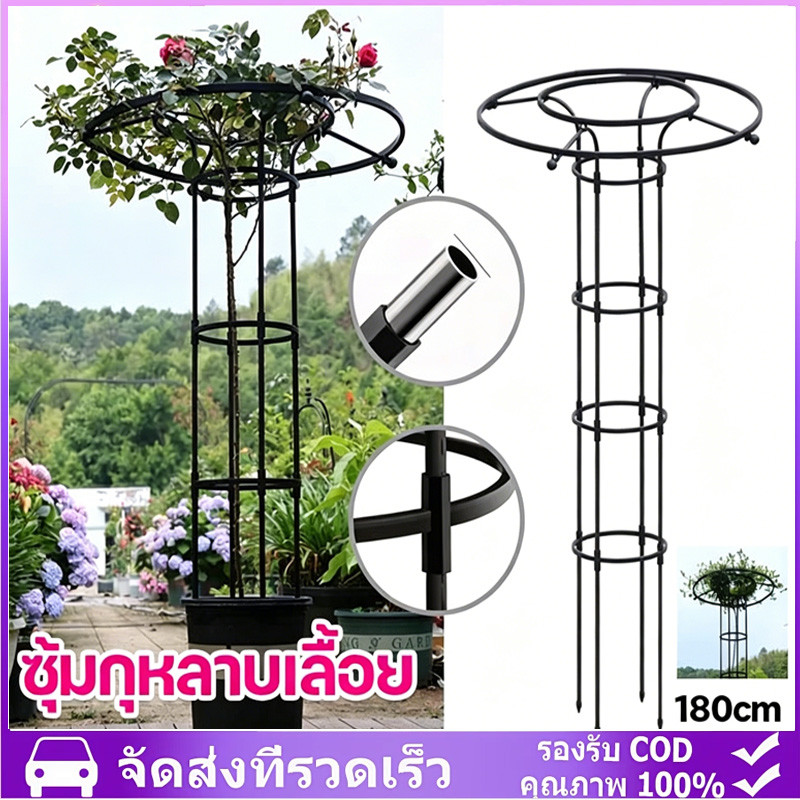 ซุ้มกุหลาบ ซุ้มกุหลาบเลื้อย โครงกุหลาบเลื้อย ซุ้มไม้เลื้อย เหล็กแข็งแรง ท่อเหล็กเคลือบ PE กันสนิม โครงเหล็กดัด