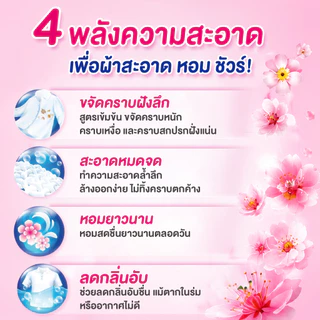 SURE ผงซักฟอกหอม ชัวร์ 2700g ฆ่าเชื้อ 99.9%➕ขจัดคราบสกปรก➕ ป้องกันการตกสีห➕อมสดชื่น 72 ชั่วโมง