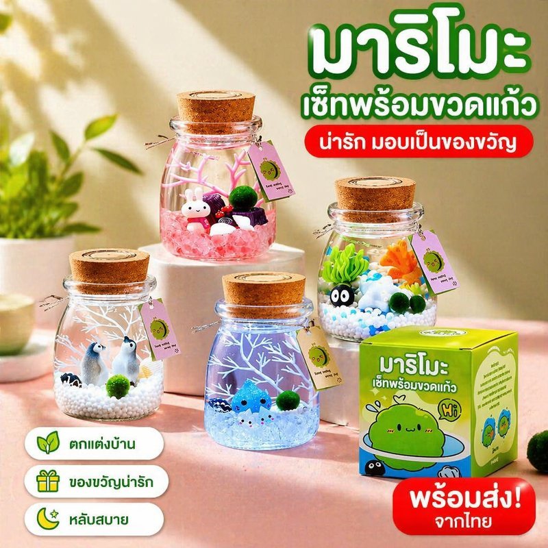 มาริโมะ สาหร่ายน้ำ ขวดตกแต่ง ของขวัญนำโชค แต่งโต๊ะ แต่งห้อง เลี้ยงง่าย พืชน้ำ มินิมอล