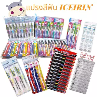 แปรงสีฟัน แผง มาตรฐาน STANDARD คละสี 12 ชิ้น