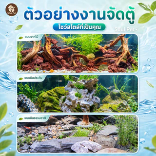🐟จัดตู้ปลา วัสดุประสานกาวหิน ของแต่งตู้ปลา ผงประสานกาวร้อน วัสดุประสานกาว 30g ปลอดสารพิษ กันน้ำ
