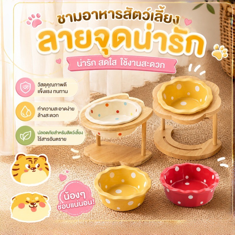 COD ชามแมว ชามและฐานขาตั้งไม้ ชามเซรามิก สุนัข แมว ชามอาหารสัตว์เลี้ยง ลายน่ารัก สีสดใส