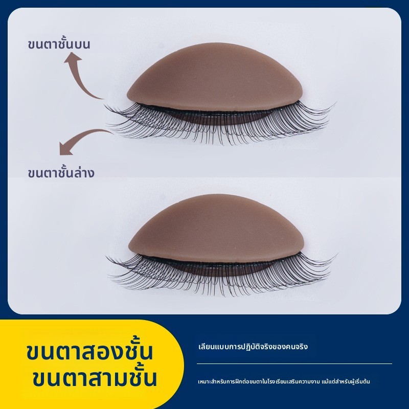 เปลี่ยนเปลือกตาขนตาฝึกนางแบบหัว2/3ชั้นจําลองตารุ่นนํามาใช้ใหม่ต่อขนตาการฝึกอบรมแสดงเครื่องมือ