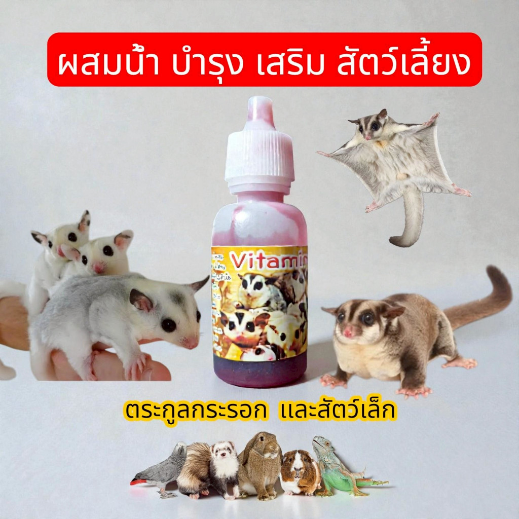 วิตามินรวมสำหรับชูการ์ กระรอก ฝาขาว ส่งทุกวันจร้า