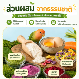 อาหารนกแก้ว อาหารนกผักและผลไม้ขนมขบเคี้ยวฟันกราม คุกกี้ของว่างสำหรับนกแก้ว กรอบอร่อย รางวัลการฝึกซ้อม 200g