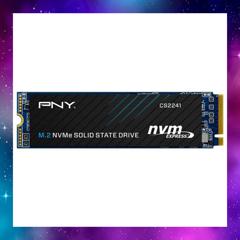 500 GB SSD (เอสเอสดี) PNY CS2241 - M.2 2280 NVME (M280CS2241-500GB-CL) ประกัน1/2028