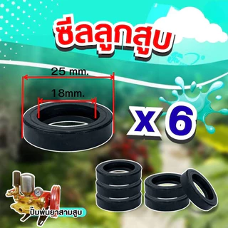 ชุดซ่อมปั้มพ่นยาสามสูบ ขนาด6หุน ครบชุด ทั้งหมด 25 ชิ้น