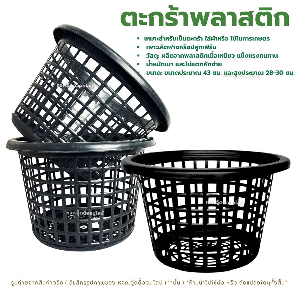 ตะกร้าเพาะเห็ด ตะกร้าพลาสติก  ตะกร้าดำ 2002 (โกเด้น) ตะกร้ากลม พลาสติกเหนียว รูใหญ่