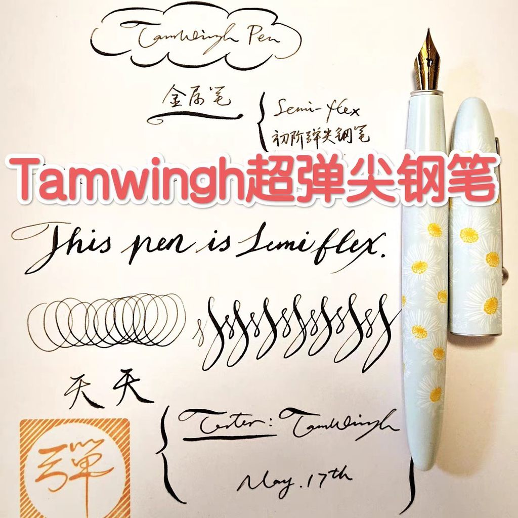 Tamwingh ปากกายืดหยุ่น Super Semi flex Beginner Art Soft Elastic Fountain Pen การเขียนทุกวัน Sketchi