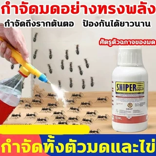 100ml ยากำจัดมดและปลวก ฉีดใช้งานสะดวก ทำลายรังมดทั้งรัง ไม่มีสีและกลิ่น ปลอดภัยกับคน กำจัดแมลงได้ผลดีและปกป้องพื้นที่
