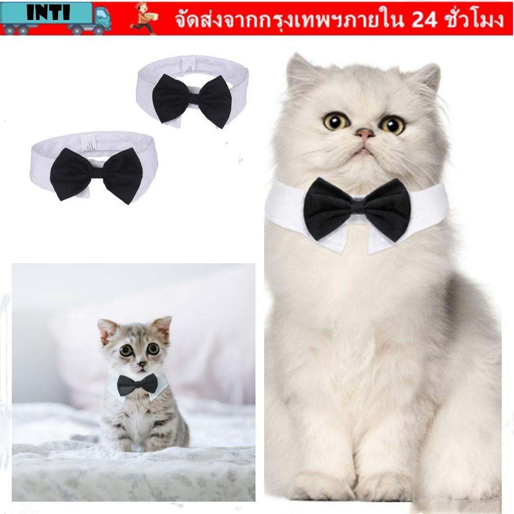 INTI Cat Tuxedo Collar ปรับชุด Puppy Cat ลูกแมวสัตว์เลี้ยงอย่างเป็นทางการ Tuxedo