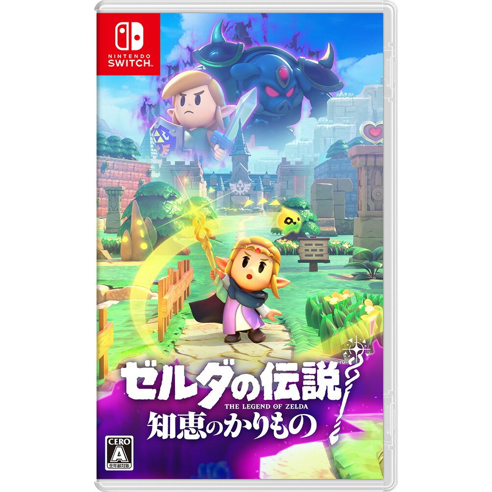 Nintendo [Switch] The Legend of Zelda: Borrowing Wisdom [HAC-P-BDGEA NSW Zelda no Densetsu Chie no Karimono]
