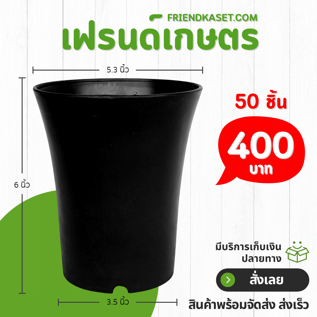 กระถางปากแตร กระถาง กระถางไม้กราฟ ทรงสูง 5 นิ้ว 50 100 ใบ สีดำ ยกมัด