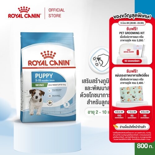 Royal Canin Mini Puppy 800g อาหารเม็ดลูกสุนัข พันธุ์เล็ก อายุ 2-10 เดือน (Dry Dog Food, โรยัล คานิน)