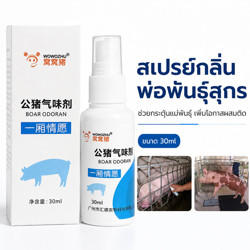 สเปรย์กลิ่นพ่อพันธุ์สุกร กลิ่นพ่อพันธุ์สุกร หมู สเปรย์สำหรับสุกร สเปรย์พ่อพันธุ์หมู สเปรย์ 20 มล.
