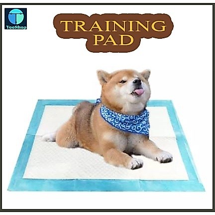 UNDERPAD SIZE S - XL - Underpad สําหรับแมวและสุนัข, เสื่อห้องน้ําสําหรับสัตว์เลี้ยงแบบพกพา