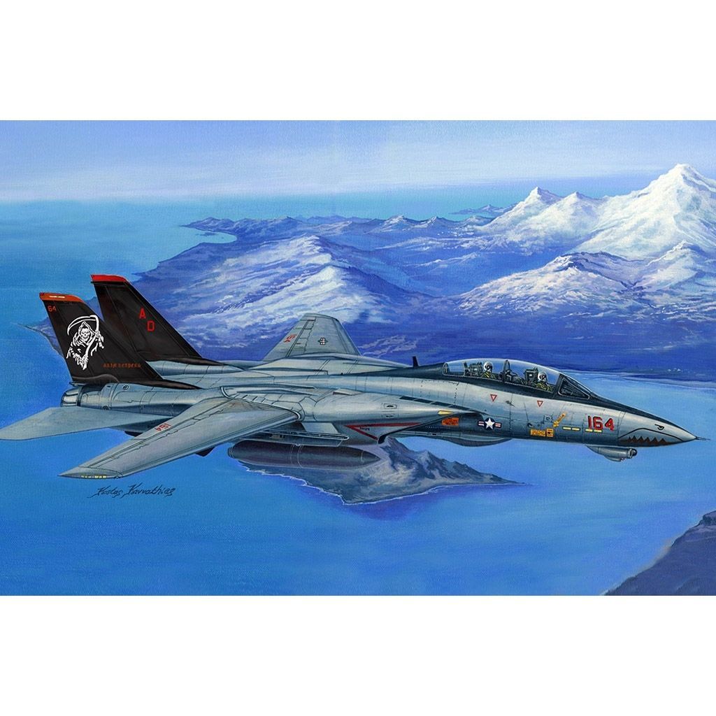 Trumpeter HOBBY BOSS 1/48 American F-14D "Super Tomcat" Fighter 80368