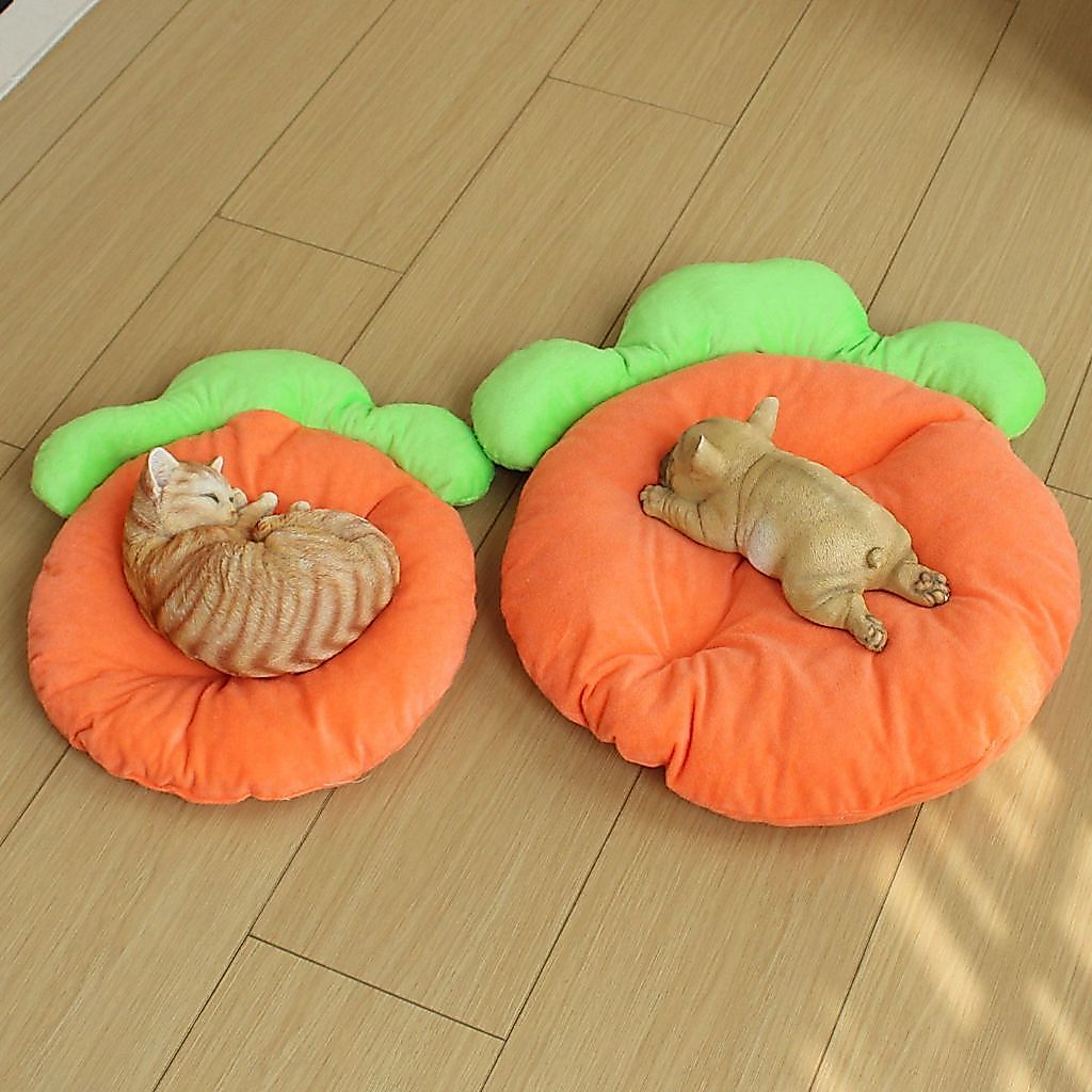 เพื่อนบ้านของฉัน โตโตโร่ เสื่อกระต่ายสัตว์เลี้ยงรังหนูแฮมสเตอร์เม่นแผ่นอบอุ่นแมวหนุ่มสุนัขหนูตะเภาแผ่นพยาบาลสากลหนูตะเภานอนแผ่น