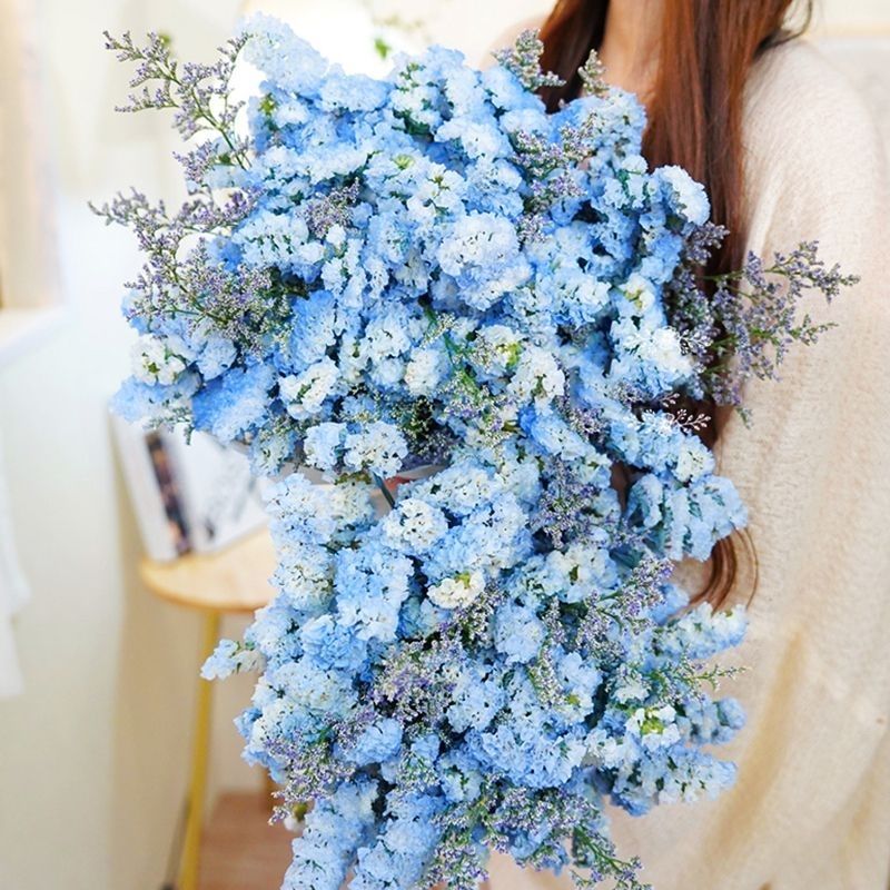 云南碎bing Dijia Fugin Futiantiantiantiantiantiantiantian flammick Flower Injector ตกแต่งสีซีดจาง Yunna