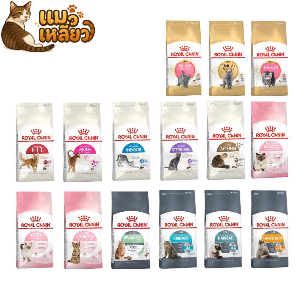 Royal Canin โรยัล คานิน อาหารเม็ดแมว สำหรับลูกแมวและแมวโต รวมหลายสูตร เม็ดเล็ก ทานง่าย ขนาด 400 กรัม