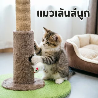 SKISOPGO เสาลับเล็บแมว คอนโดแมว ของเล่นแมว ลูกแมว เสาเกาเล็บ ฐานมั่นคง ประหยัดพื้นที่ ติดตั้งง่าย