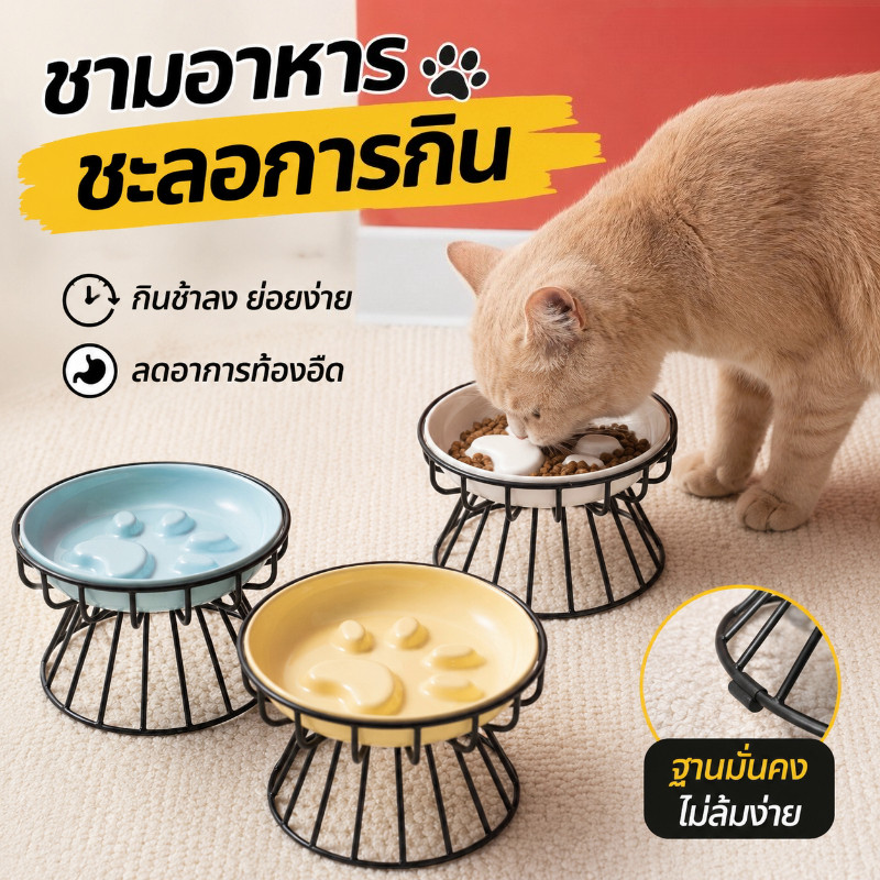 COD ชามแมวเซรามิก จานแมว จานเลีย จานอาหารช้า จานป้องกันสำลัก พร้อมขาตั้ง ปกคอ ป้องกันการล้มสำหรับอาหารแมว