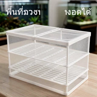 กล่องแยกลูกปลา กล่องเพาะพันธุ์ปลา กล่องฟักไข่ ตาข่ายใส แยกช่อง ตู้ปลา ปลาหางนกยูง