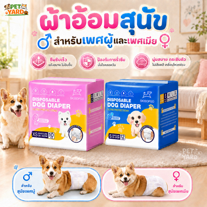 🐶แพมเพิสสุนัขไม่ซึม ผ้าอ้อมสุนัขตัวผู้ แพมเพิสสุนัขตัวผู้ ดูดซับได้เยอะ แห้งเร็ว เป็นสัด โปร่ง สบาย