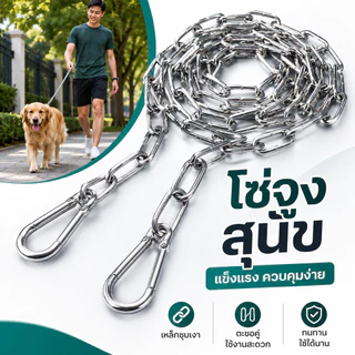 โซ่ล่ามสุนัข 304 สแตนเลส 3มม. มี 2/3/4เมตร ตะขอคู่ เปิดปิดง่าย ทนทาน เหมาะพาเดินและผูกสุนัข COD
