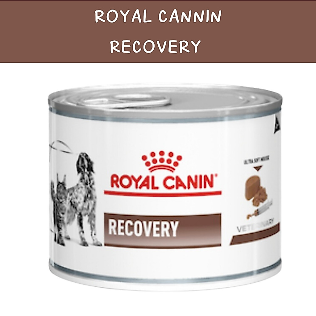 Recovery Royal Canin อาหารพักฟื้นสำหรับสุนัขและแมว 1 ถาด 12 กระป๋อง