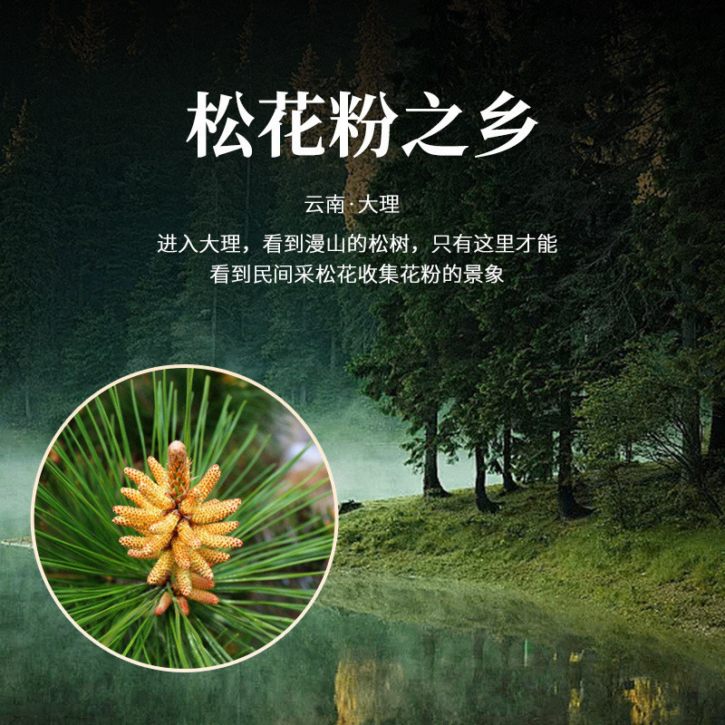 ปักกิ่ง Tongrentang Pine Pollen 200g เลือกหางม้า Pine ผงดั้งเดิมแช่น้ําแช่ชาสุขภาพชา
