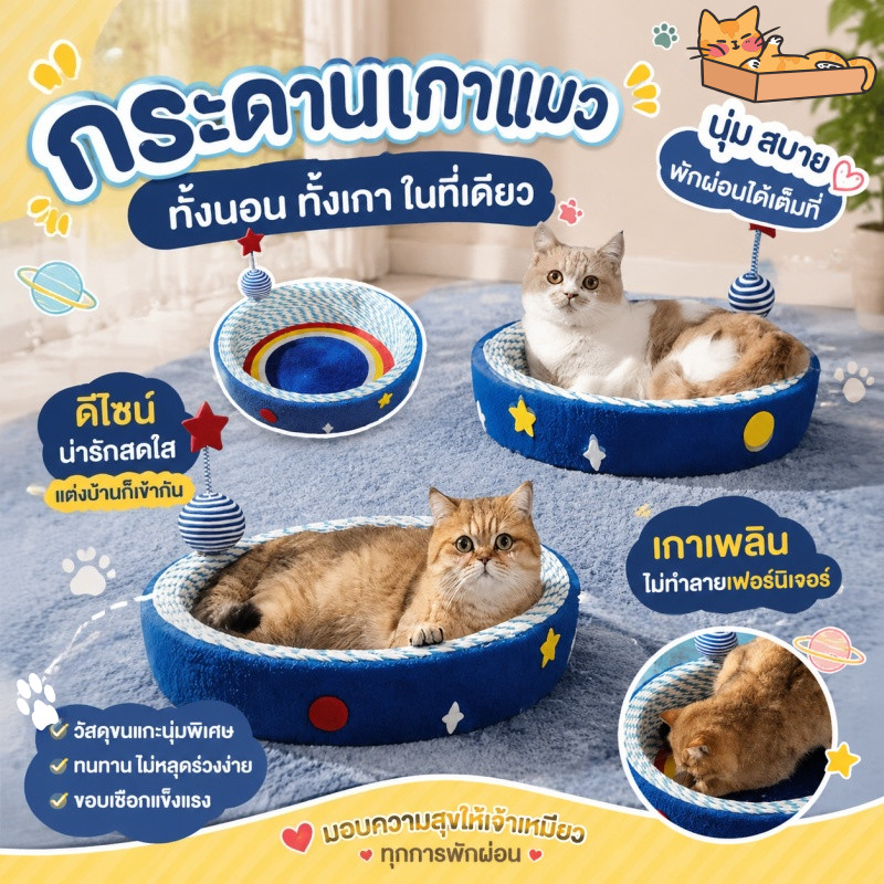 New กระดานเกาแมว 2 in 1 เตียงแมว พร้อมรังนอนอวกาศ สดุแข็งแรงทนทาน รังแมว กันขีดข่วน