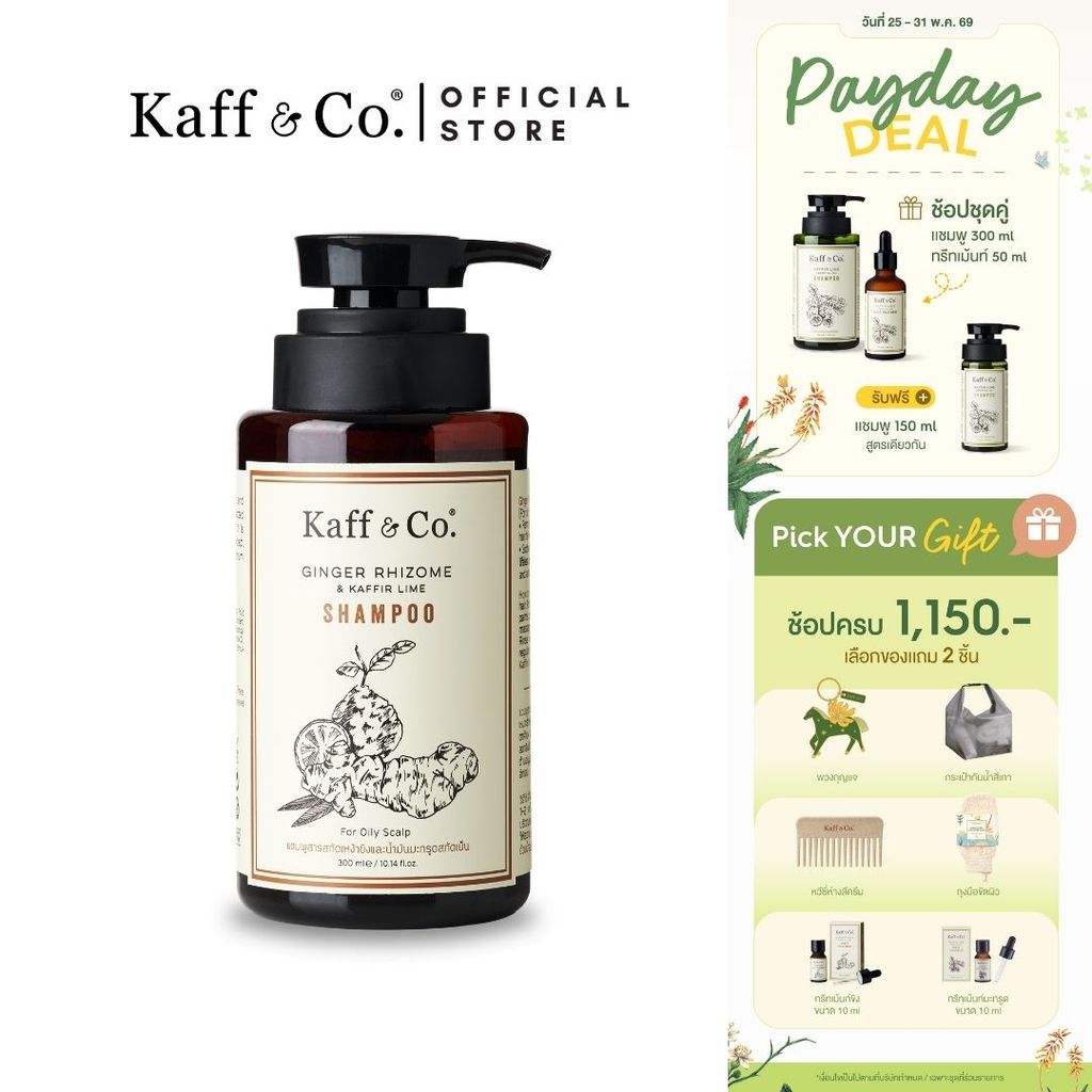 Kaff & Co. แชมพูสำหรับผมมัน ผมลีบแบน มีกลิ่นอับ ช่วยลดผมร่วง แชมพูสารสกัดเหง้าขิงและน้ำมันมะกรูดสกัดเย็น 300 ml