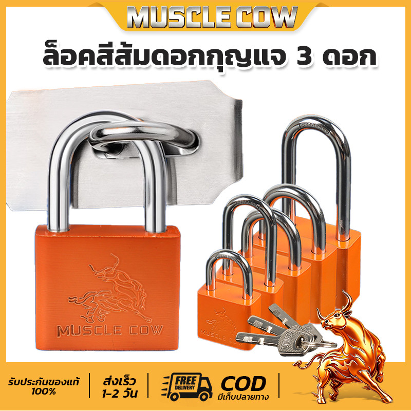 MUSCLE COW กุญแจทองเหลืองกันน้ำคุณภาพสูง ขนาด 30-50 มม. ของแท้ 100%