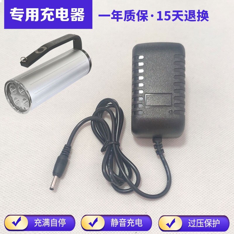 เหมาะสําหรับ Zhenghui BWJ8310B ป้องกันการระเบิดสายไฟที่แข็งแกร่ง BWJ8310A ไฟฉาย BJW8310 Charger
