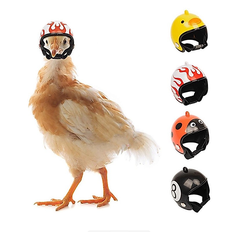 หมวกไก่ หมวกนกแก้ว หมวกกันน็อคสัตว์เลี้ยง หมวกหนูแฮมสเตอร์  ชุดคอสเพลย์สัตว์เลี้ยง ของแต่งกายสัตว์