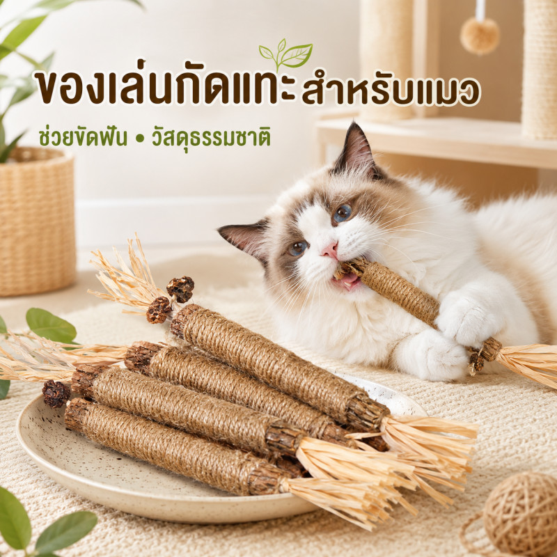 ✅ พร้อมส่ง ✅ ไม้แมวเมา ไม้ขัดฟันแมว ฟันกรามแมว ของเล่นแมว เหมาะสำหรับแทะกัญชาแมว ลดคราบหินปูน