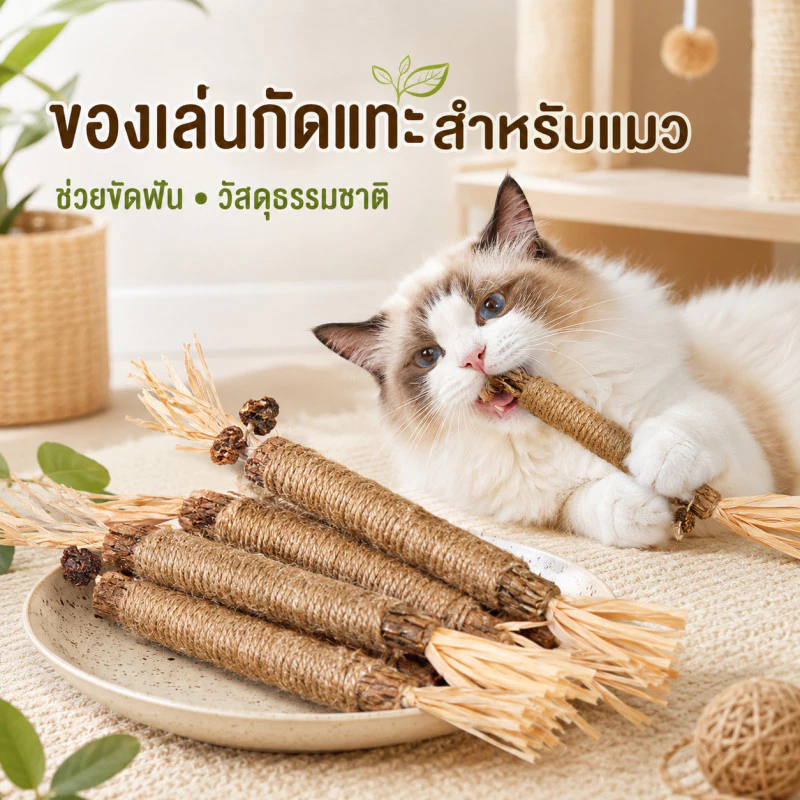 ✅ พร้อมส่ง ✅ ไม้แมวเมา ไม้ขัดฟันแมว ฟันกรามแมว ของเล่นแมว เหมาะสำหรับแทะกัญชาแมว ลดคราบหินปูน