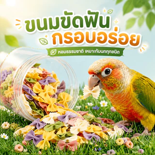 อาหารนกแก้ว อาหารนกผักและผลไม้ขนมขบเคี้ยวฟันกราม คุกกี้ของว่างสำหรับนกแก้ว กรอบอร่อย รางวัลการฝึกซ้อม 200g
