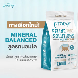 (ส่งด่วนใน กทม.) Pramy Care Feline Solutions อาหารเม็ดแมว สูตรดูแลสุขภาพเฉพาะด้าน ถุง 1Kg.