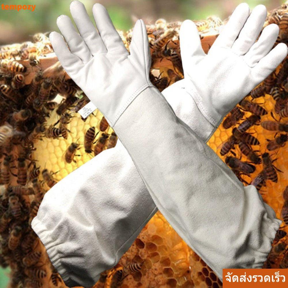 TEMPOZY 1 คู่ถุงมือการเลี้ยงผึ้ง, Apiculture Professional ผ้าใบถุงมือหนังแกะ, Anti-sting Beekeeper ปกป้องเครื่องมือการเลี้ยงผึ้ง