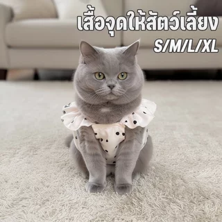 เสื้อแมว ชุดแมว กระโปรงแมว เสื้อหมา ชุดสัตว์เลี้ยง ระบายอากาศ ใส่สบาย น่ารัก ฤดูร้อน ถ่ายรูป