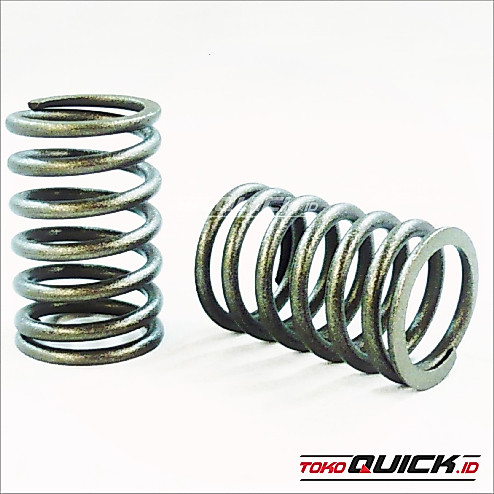 SPRING VALVE RD 75-85 / 105-115 DI -1/2