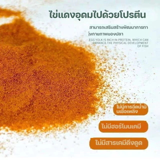 COD อาหารปลา อาหารปลากัด ไข่อาร์ทีเมีย อาหารลูกปลากัด ไรแดง อาร์ทีเมียลอกเปลือก ป้อนได้โดยตรง
