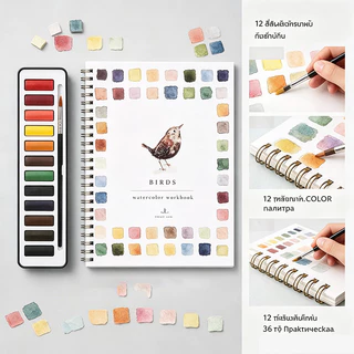 หนังสือภาพ สมุดแบบฝึกหัดสีน้ำ 12 สี สมุดแบบฝึกหัดศิลปะสีน้ำ สมุดสอนวาดสีน้ำแบบทีละขั้นตอน
