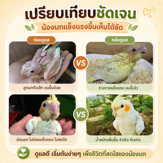 🦜อาหารนกแก้ว อาหารนกข้าวฟ่างห้าสี อาหารนกลูกป้อน ผสมธัญพืชอาหารนกแก้ว นกแก้วส่วนใหญ่เหมาะสม