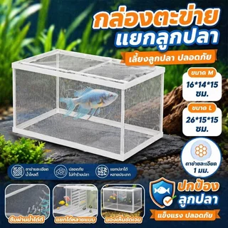 กล่องเพาะปลา กล่องแยกลูกปลา ตู้ฟักไข่ปลา ตาข่ายโปร่งใส สำหรับปลาหางนกยูง ตู้ปลา ใช้งานง่าย