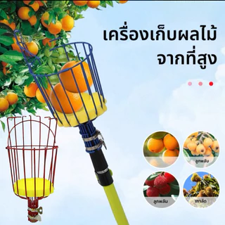 ที่สอยผลไม้ สามารถถอดออกได้ ตะกร้าลึก คุณภาพดี ทันสมัย เก็บผลได้เยอะ พร้อมจัดส่งสินค้า