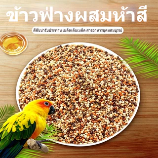 🦜อาหารนกแก้ว อาหารนกข้าวฟ่างห้าสี อาหารนกลูกป้อน ผสมธัญพืชอาหารนกแก้ว นกแก้วส่วนใหญ่เหมาะสม
